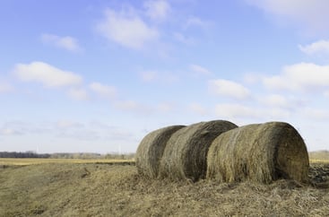 Agricultural landscape Three bales of hay in foreground, wind turbines on horizon, on a mild winter morning in northern Illinois-1